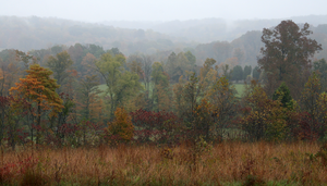 Hoosier National Forest.png