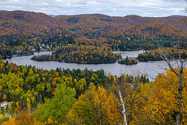 Couleurs dans un parc national.