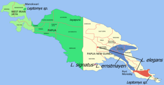 Mapa de distribución de L. signatus y otras especies de Leptomys en la isla de Nueva Guinea.