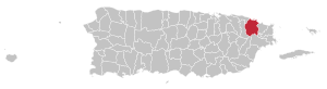 Карта Пуэрто-Рико с указанием муниципалитета Рио-Гранде