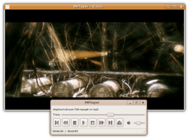 Скриншот программы MPlayer