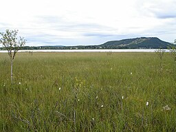 Malåträsket med tätorten Malå i bakgrunden och till höger Tjamstanberget.