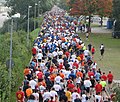 Vignette pour Marathon de Munich