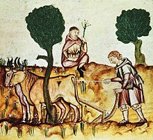 Medieval plough and oxen team Medieval ploughing.JPG