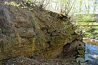 Kupferschiefer-Aufschluss bei Walkenried