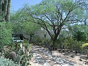 The Edward L. Jones House was built in 1925 and is located at 5555 N. Casa Blanca Dr. The house was listed in the National Register of Historic Places on December 13, 1996; reference #96001474.