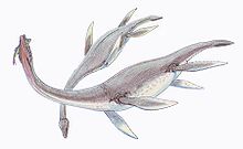 Utilité et ancienneté de la baleine dans BALEINE 220px-Plesiosaurus_dolich1DB