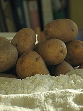 Gros plan sur de la fécule de pomme de terre, sous forme de poudre blanche, en vrac devant quelques tubercules non pelés.