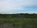 Ribstone Creek Heritage Rangeland Natural Area