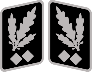 Ficheiro:SS-Obergruppenführer Collar Rank.svg