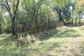 Остатоци од шанец од битката кај Иванковац.