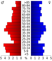 Bevolkingspiramide Polk County