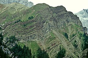 Tilted layers of sedimentary rock in the Rolle Pass in the Dolomites, Trentino UmbRollePassGeol.jpg