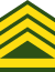 Uruguay-Army-OR-9.svg