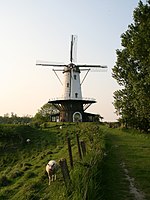 Veere molen De Koe.jpg