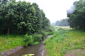 Vilka Anužių apylinkėse