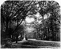 Photographie fin de journée au Tiergarten - 1866.