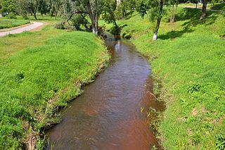 Vyžuona Utenoje.Foto:SUJIRENas