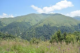 Бенойн лам — АшанетӀе дукъ тӀера хьаьжча