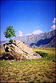 Камень с бермы на Катуни между селами Малый Яломан и Иня