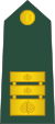 16-словенская армия-LTC.svg