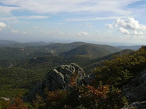 Dadia-Lefkimi-Soufli Nationalpark