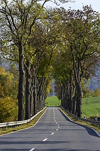 20151024_131449_Wanfried_Mühlhäuser-Str_Allee