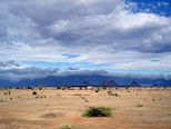 A desert. The rainshadow region of Tirunelveli, India.