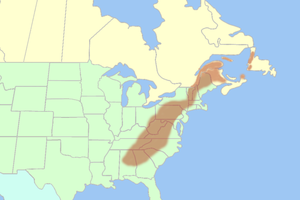 Extensão da Cordilheira dos Apalaches na América do Norte.