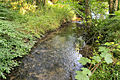 Naturschutzgebiet Salzetal Bad Salzuflen