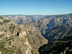 Kanyon del Kobre Chihuahua