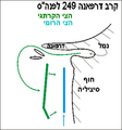 תמונה ממוזערת לגרסה מ־14:22, 13 במרץ 2011