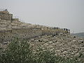 מבט על בית הקברות היהודי