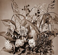 Étude de fleurs, vers 1855.