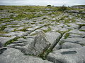 Miniatuur voor Burren