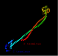 Phyre2 Tertiary structure prediction for CCDC121 protein isoform 1