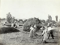 Fermiers, vers 1880