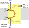 Pisipilt versioonist seisuga 11. november 2013, kell 14:39