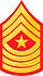 SgtMaj