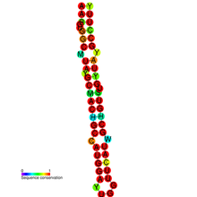 GABRA3RNA.png