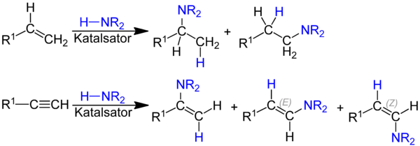 Hydroaminierung.