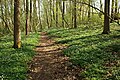 réserve naturelle 'Kloosterbos'