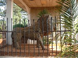 Lion gardant l'entrée de la chefferie de Bana (Cameroun).