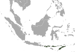 Lombok Flying Fox area.png