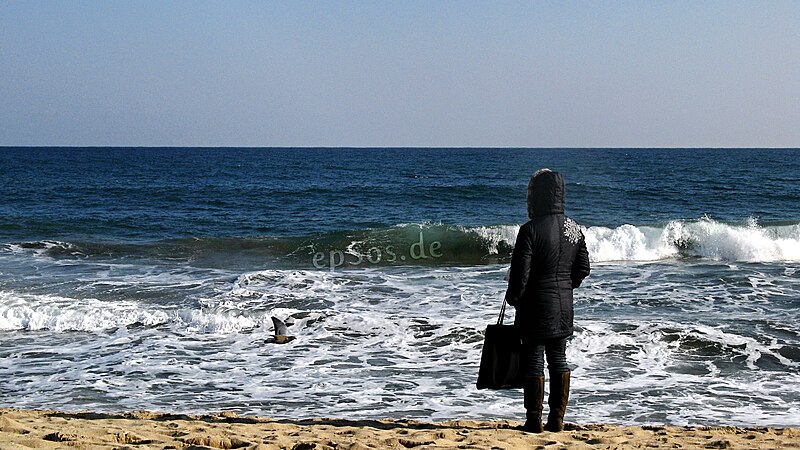 File:Lonely Woman Watching Sea Waves on Beach.jpg