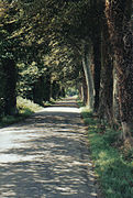 L'allée conduisant au manoir.