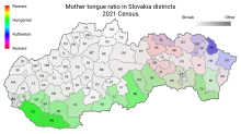 Linguistic structure of Slovakia in 2021 Mother tongue ratio in Slovakia districts 2021.svg