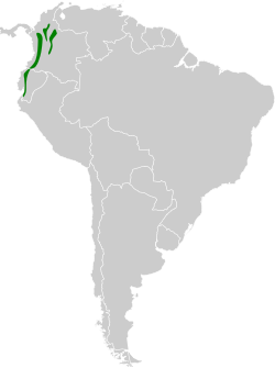 Distribución geográfica del mosquiterito adornado occidental.