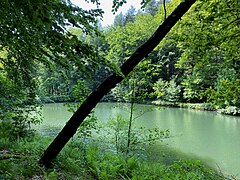 Waldteich im Unterlauf nördl. Dahlhausen