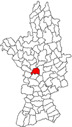 Location in Olt County